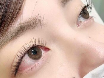 ソファー 国分寺(sofa)/フラットラッシュ120本