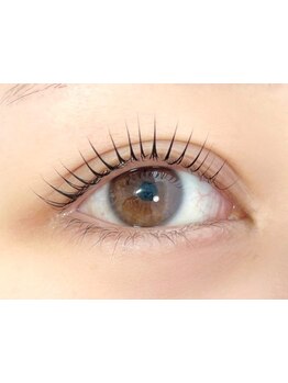 初めての方にオススメ