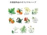 【ポカポカ温活】巡りコース初回￥6,800→
