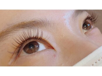 プリジュール(Pljoul)/ALLカラーラッシュ/Cカール