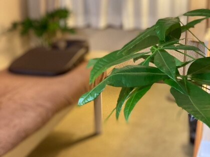 和の写真