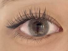 カラン 焼津店(CALIN)/LEDフラットラッシュ120本