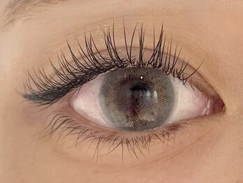 カラン 焼津店(CALIN)/LEDフラットラッシュ120本