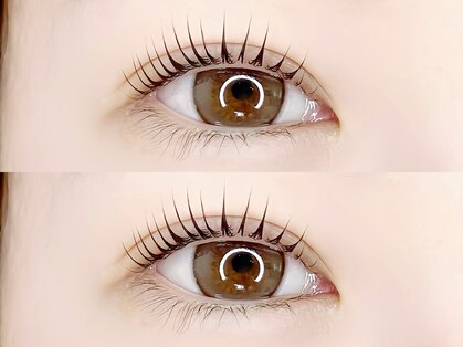 ロム(ROMM)の写真