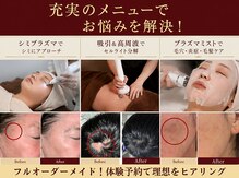 total beauty salon LUPINUS