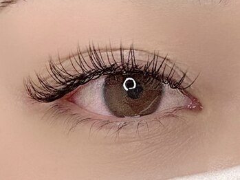 カミエユニ(Kamie-uni-)/フラットラッシュ120本