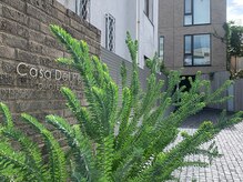 ディーアクション 表参道(d'action)/建物入り口（カサデルレイ）