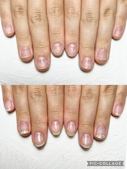 シャルム 本厚木(charme)/