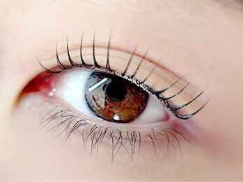 ベルアイラッシュ(Belleyelash)/【まつげパーマ】瑞江/まつげ