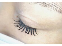 アバンテ シル(Avante_CIL)/Wフラット140SET