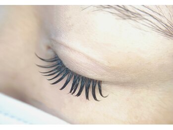 アバンテ シル(Avante_CIL)/Wフラット140SET