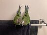 おかえりなさい！お久しぶりの方専用クーポン♪