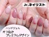【Ｊｒネイリスト】オフ込プレミアムデザイン　　2千円引¥5300