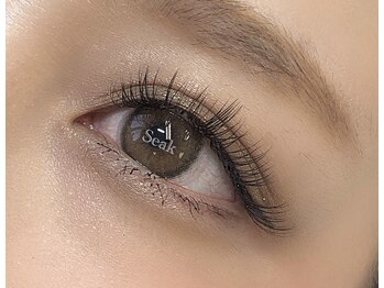 シーク(Seak)/フラットラッシュ120本