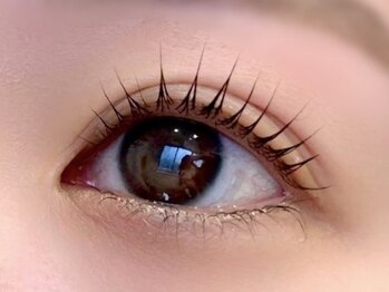 リンクス(LEM LINKS)/パリジェンヌラッシュリフト