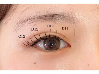 ダリア(DAHLIA)/フラットラッシュ120本