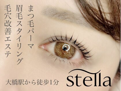 ステラ(stella)の写真