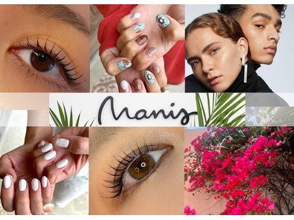 マニス(manis)の写真