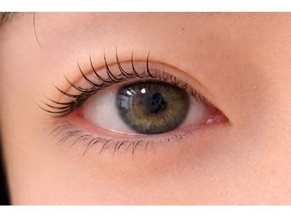 トトルナ(totoluna)の写真