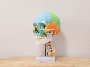 なさき整骨院プラスシンメトリー 豊橋店/説明時に使用する頭蓋骨くん♪