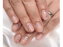 ブルーデイジー(Blue daisy)/