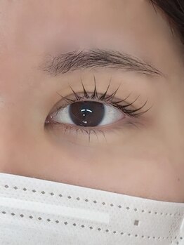 ニーヨンアイラッシュ(24eyelash)/上下まつ毛パーマ