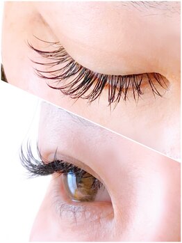エタニティプラスアイラッシュアンドビューティー(Eternity+EyeLash&Beauty)/限定色ネイビーアッシュ