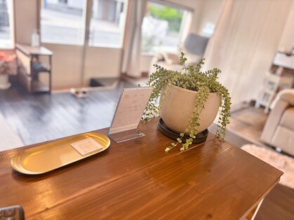 コットンシェービングサロン(Cottonshaving salon)の写真