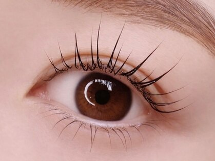 ナナ(nana)の写真
