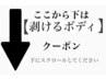 【ここから下はボディ一覧です】↓※こちらはクリックできません