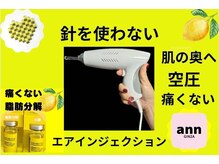 アン 銀座(ann)/レモンボトル