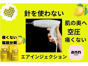 アン 銀座(ann)/レモンボトル