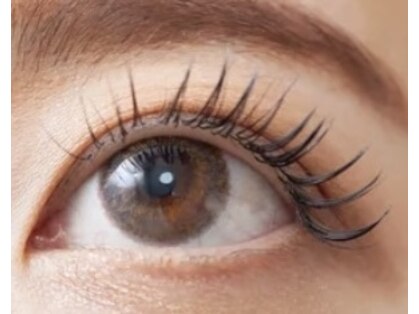 サマンサ(samansa)の写真