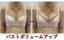 トロイカ(troika)