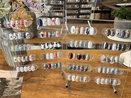 [wamu]定額デザイン