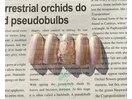 クリアフラワーネイル☆