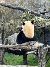 健生&nbsp;松本 圭世