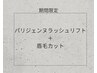 【8/15まで】パリジェンヌラッシュリフト＋眉カット￥5800