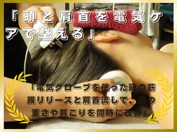 フラーダヴィータ(hlaada.vita)/頭と肩首の電気ケア