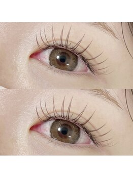 リラッシュ(RELASH)/Flat lash 120本