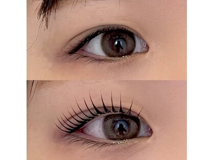 ベラ(BELLA)の写真