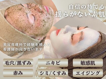 サンゴ(Sango)の写真