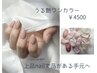 ◇初回オフ込◇艶シアー / 綺麗 / オフィス向けハンドワンカラー ¥5,500