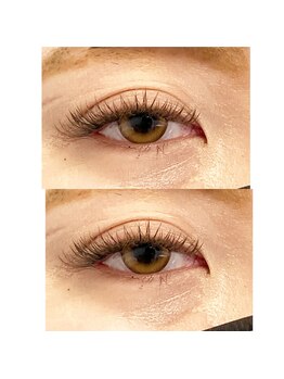 マイアイラッシュ(Mai eyelash)/バインドロック200束