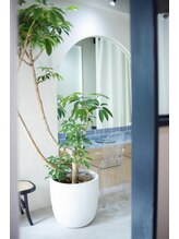 ソルテ バイ アフェリーチェ(sorte by afelice)/大きな鏡/麻布十番