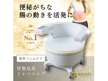 アイオライトの雰囲気(骨盤底筋を刺激する事で腸の動きを活性化&便秘改善に!姿勢改善も)