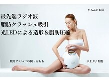 イデアル 箱崎(ideal)