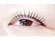Noa lash room【4/22　NEWOPEN（予定）】の写真/丁寧な施術で高持続◎ダメージを抑えたケアで自まつ毛を大切にしながらぱっちり垢抜け目元に♪
