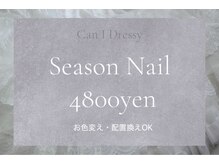 キャンアイドレッシー 草加店(Can I Dressy)/季節の定額ネイル
