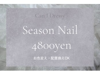 キャンアイドレッシー 草加店(Can I Dressy)/季節の定額ネイル